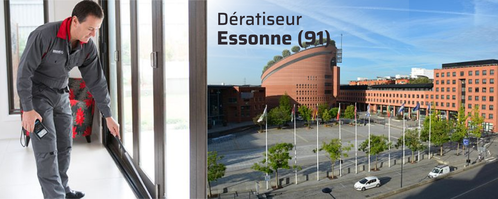 Dératiseur Essonne (91)