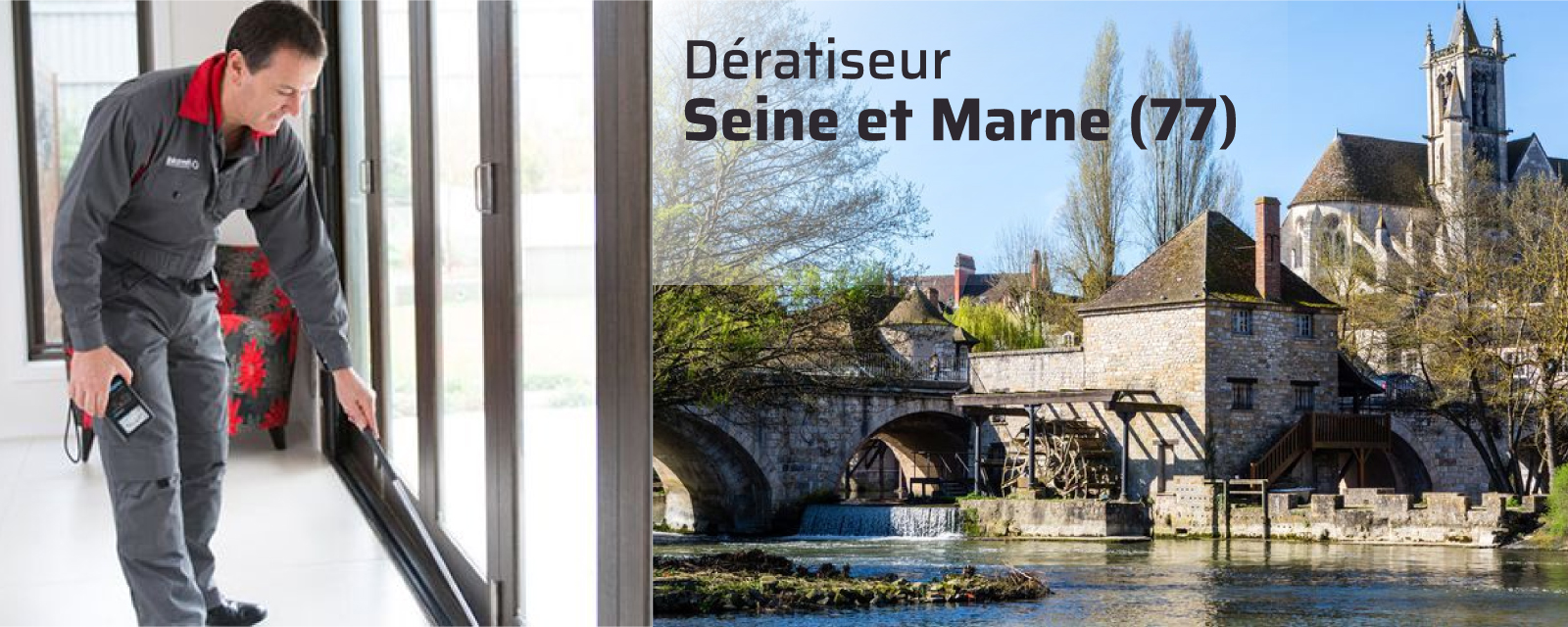 Dératiseur Seine-et-Marne (77)