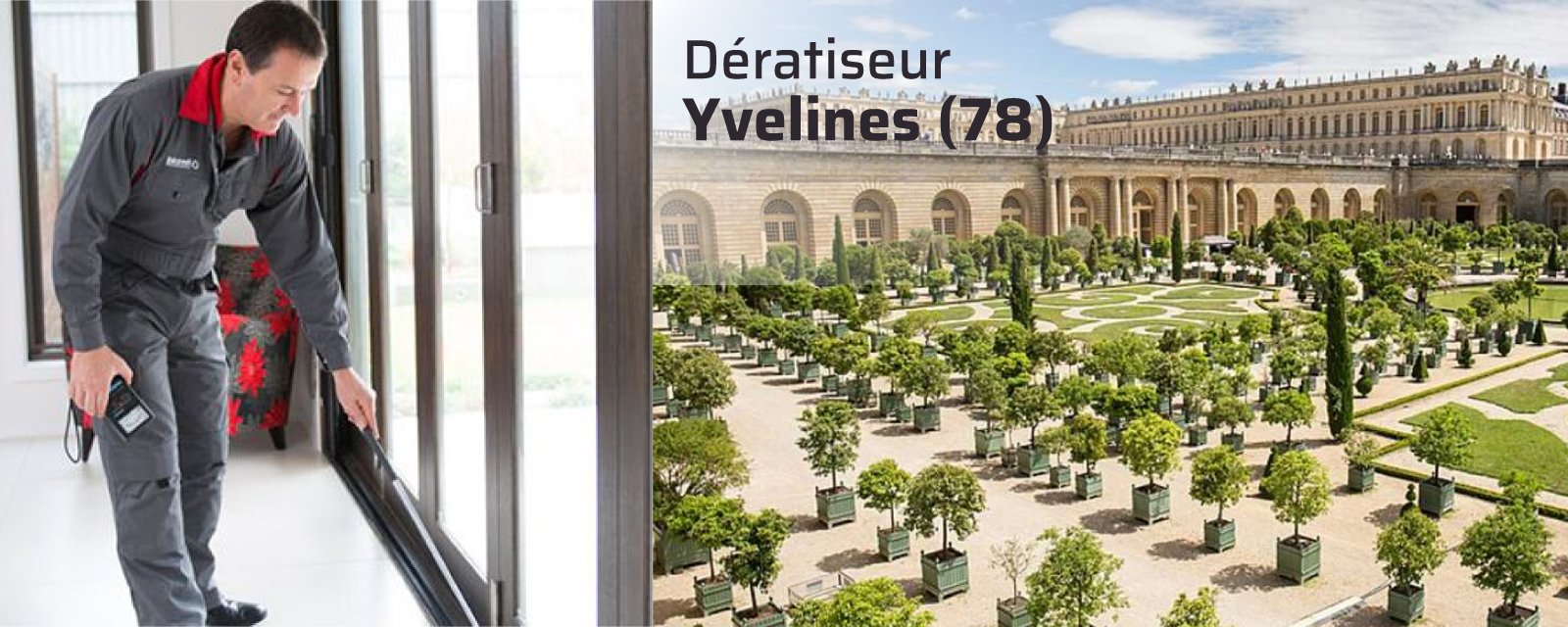 Dératiseur Yvelines (78)